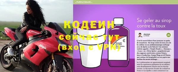 прущие грибы Абаза