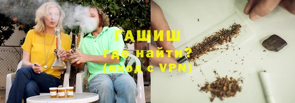 прущие грибы Абаза