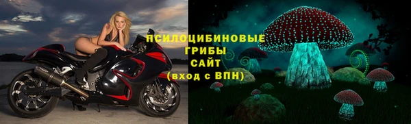 стафф Абдулино
