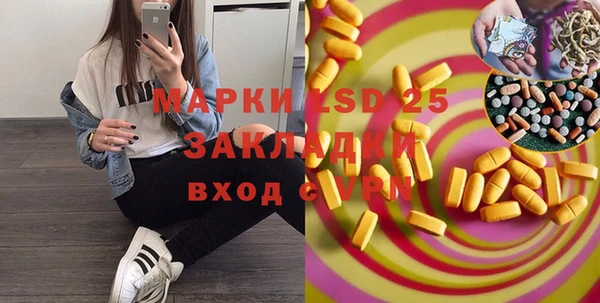 прущие грибы Абаза
