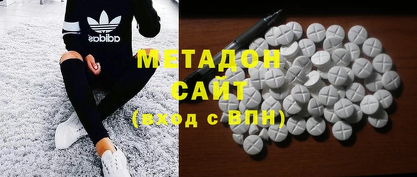 прущие грибы Абаза